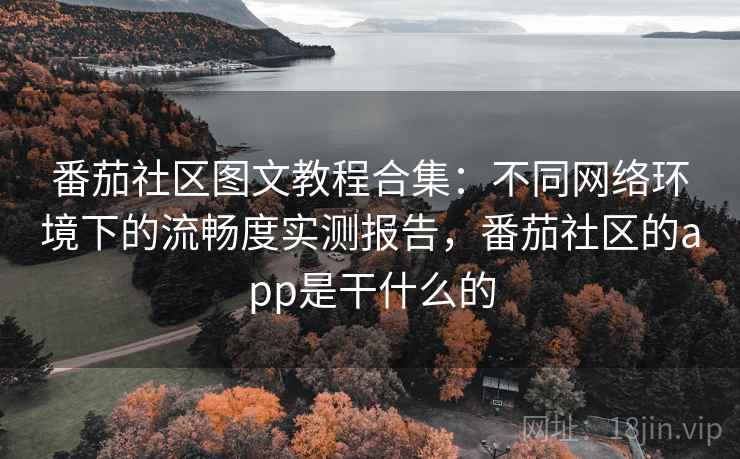 番茄社区图文教程合集：不同网络环境下的流畅度实测报告，番茄社区的app是干什么的