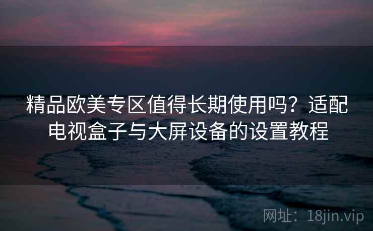精品欧美专区值得长期使用吗？适配电视盒子与大屏设备的设置教程