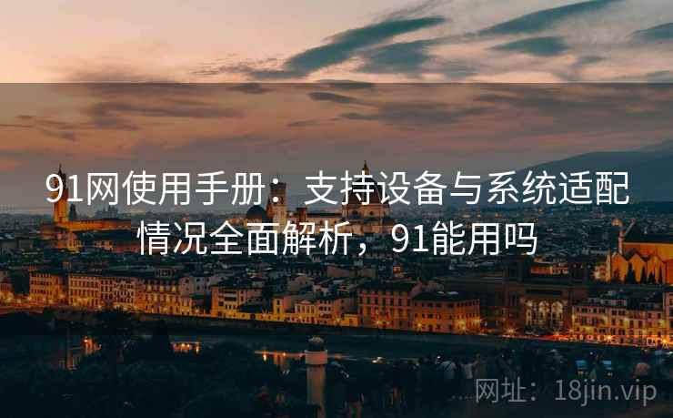 91网使用手册：支持设备与系统适配情况全面解析，91能用吗