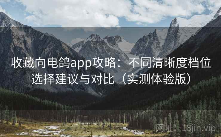 收藏向电鸽app攻略：不同清晰度档位选择建议与对比（实测体验版）