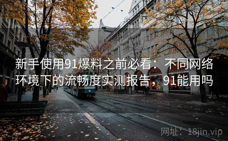 新手使用91爆料之前必看：不同网络环境下的流畅度实测报告，91能用吗