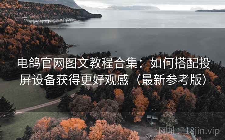 电鸽官网图文教程合集：如何搭配投屏设备获得更好观感（最新参考版）