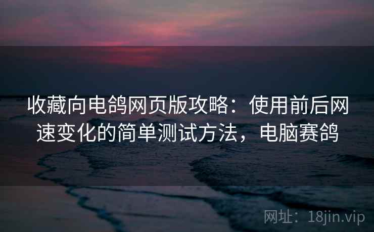 收藏向电鸽网页版攻略:使用前后网速变化的简单测试方法,电脑赛鸽 收藏向电鸽网页版攻略:使用前后网速变化的简单测试方法,电脑赛鸽