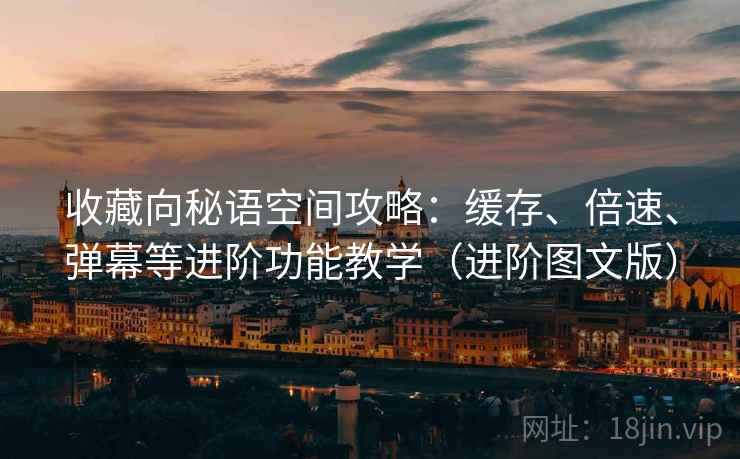 收藏向秘语空间攻略：缓存、倍速、弹幕等进阶功能教学（进阶图文版）