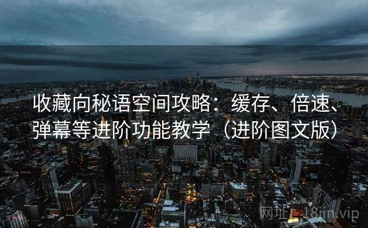 收藏向秘语空间攻略：缓存、倍速、弹幕等进阶功能教学（进阶图文版）
