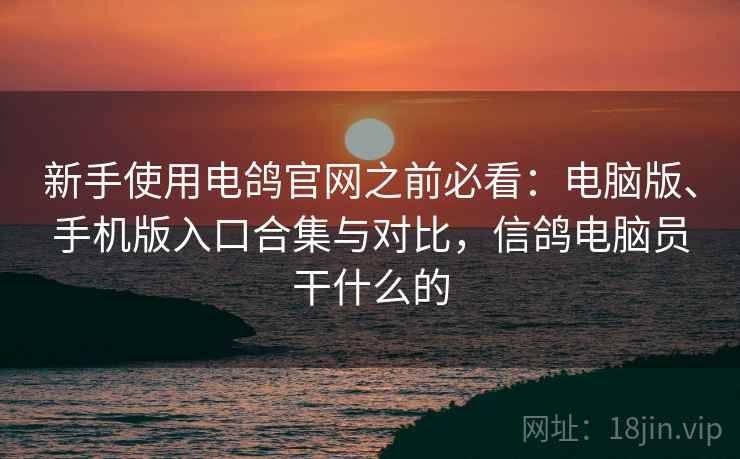 新手使用电鸽官网之前必看：电脑版、手机版入口合集与对比，信鸽电脑员干什么的