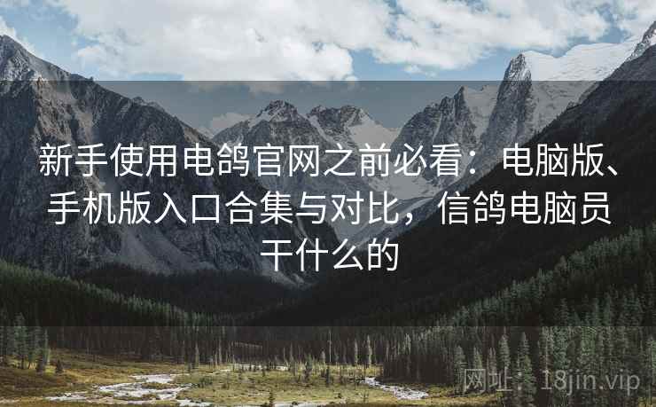 新手使用电鸽官网之前必看：电脑版、手机版入口合集与对比，信鸽电脑员干什么的