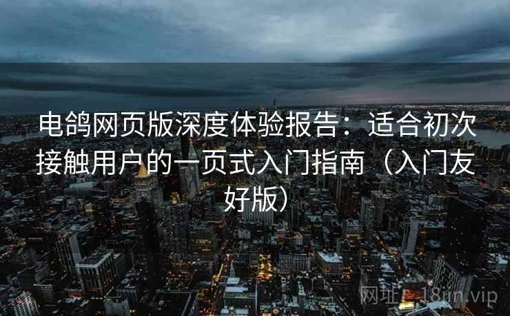 电鸽网页版深度体验报告：适合初次接触用户的一页式入门指南（入门友好版）