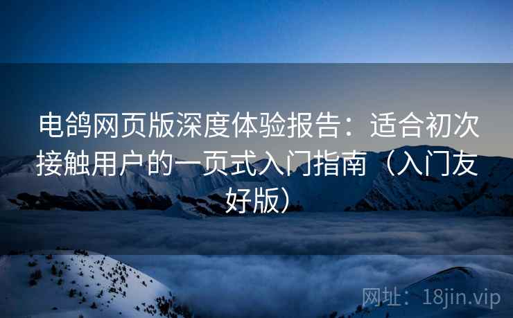 电鸽网页版深度体验报告：适合初次接触用户的一页式入门指南（入门友好版）
