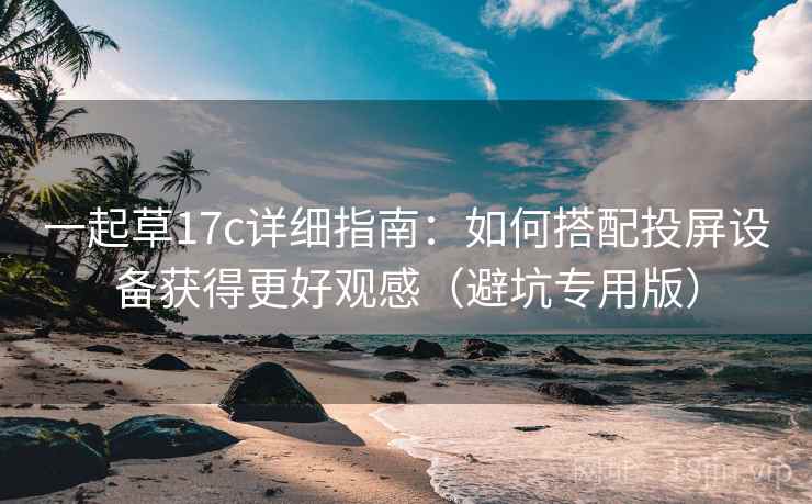 一起草17c详细指南：如何搭配投屏设备获得更好观感（避坑专用版）