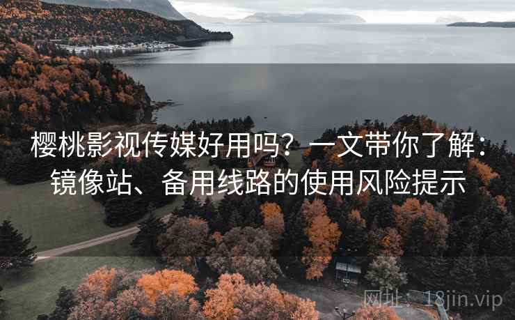 樱桃影视传媒好用吗？一文带你了解：镜像站、备用线路的使用风险提示