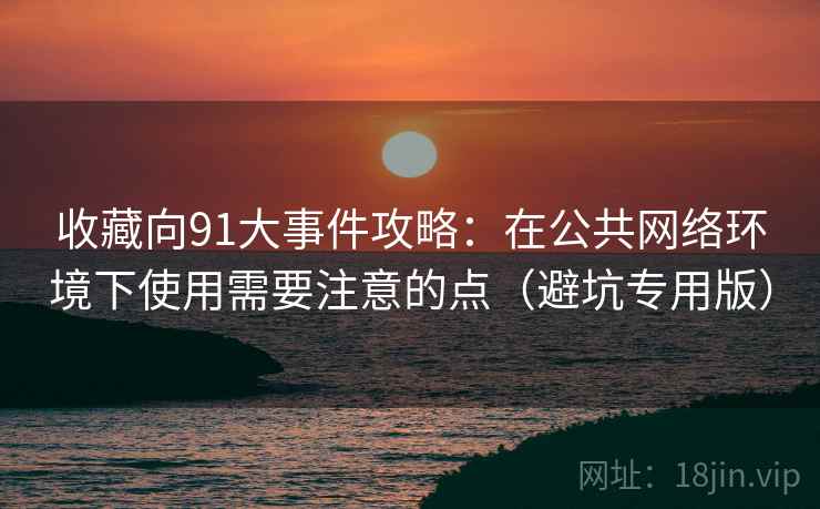 收藏向91大事件攻略：在公共网络环境下使用需要注意的点（避坑专用版）