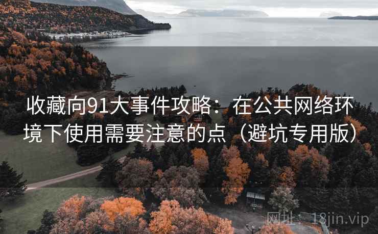 收藏向91大事件攻略：在公共网络环境下使用需要注意的点（避坑专用版）