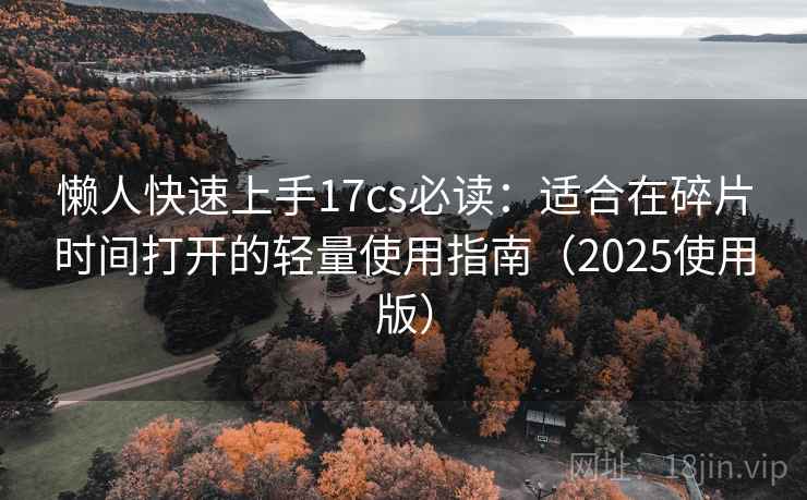 懒人快速上手17cs必读：适合在碎片时间打开的轻量使用指南（2025使用版）