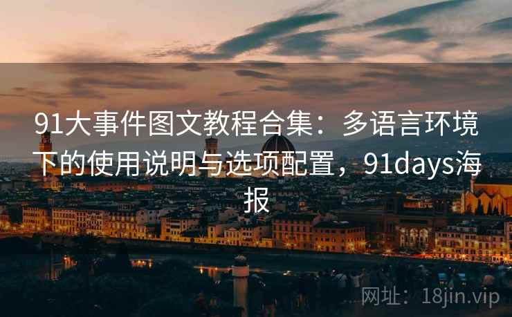 91大事件图文教程合集：多语言环境下的使用说明与选项配置，91days海报