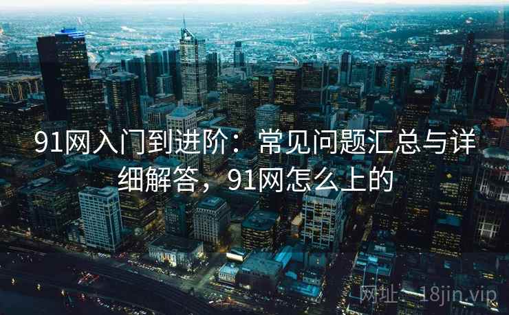 91网入门到进阶：常见问题汇总与详细解答，91网怎么上的
