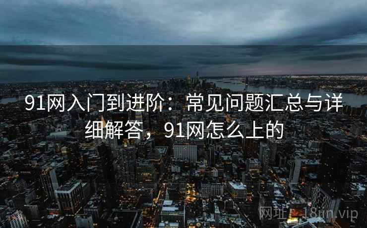 91网入门到进阶：常见问题汇总与详细解答，91网怎么上的