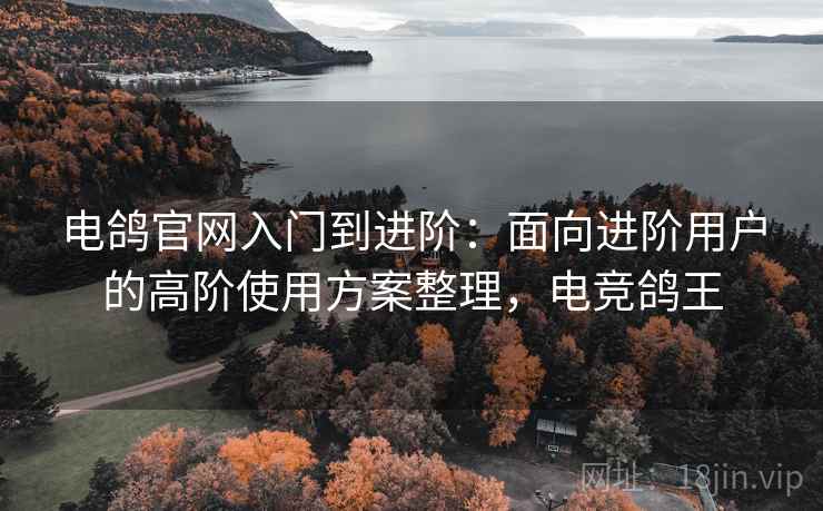 电鸽官网入门到进阶：面向进阶用户的高阶使用方案整理，电竞鸽王
