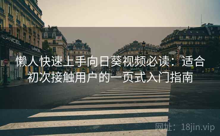 懒人快速上手向日葵视频必读：适合初次接触用户的一页式入门指南