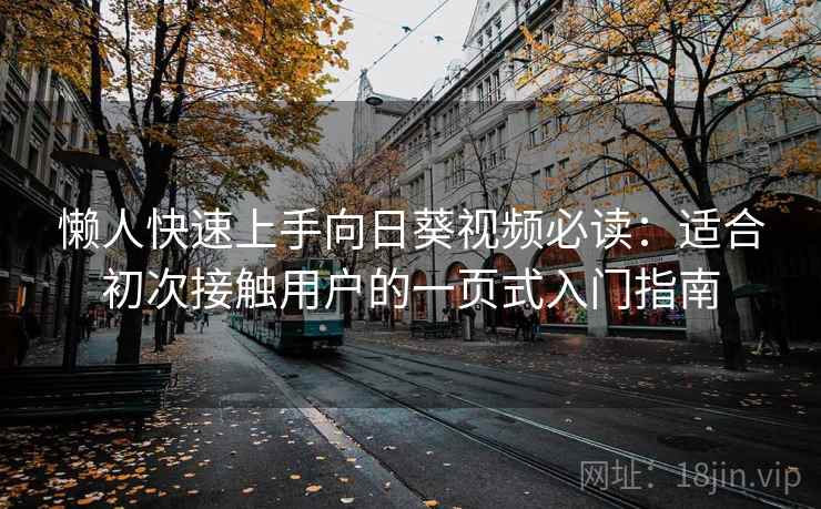 懒人快速上手向日葵视频必读：适合初次接触用户的一页式入门指南
