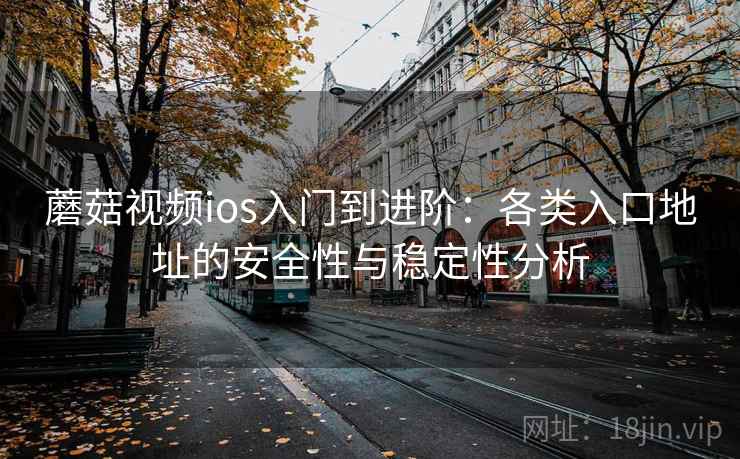 蘑菇视频ios入门到进阶：各类入口地址的安全性与稳定性分析