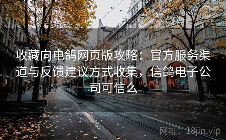 收藏向电鸽网页版攻略：官方服务渠道与反馈建议方式收集，信鸽电子公司可信么