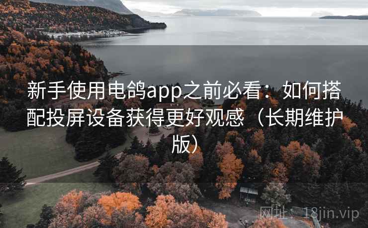 新手使用电鸽app之前必看：如何搭配投屏设备获得更好观感（长期维护版）