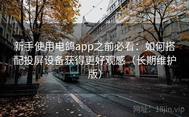 新手使用电鸽app之前必看：如何搭配投屏设备获得更好观感（长期维护版）