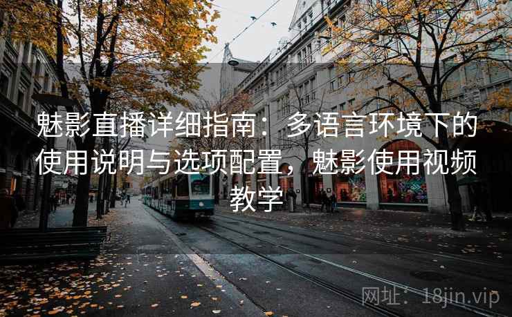 魅影直播详细指南：多语言环境下的使用说明与选项配置，魅影使用视频教学