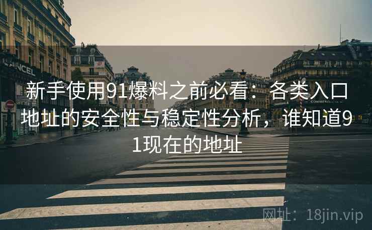 新手使用91爆料之前必看：各类入口地址的安全性与稳定性分析，谁知道91现在的地址
