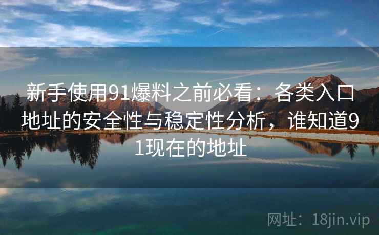 新手使用91爆料之前必看：各类入口地址的安全性与稳定性分析，谁知道91现在的地址