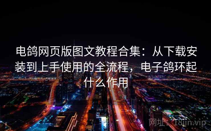 电鸽网页版图文教程合集：从下载安装到上手使用的全流程，电子鸽环起什么作用