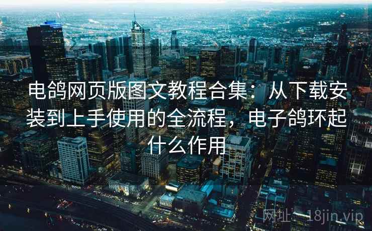 电鸽网页版图文教程合集：从下载安装到上手使用的全流程，电子鸽环起什么作用